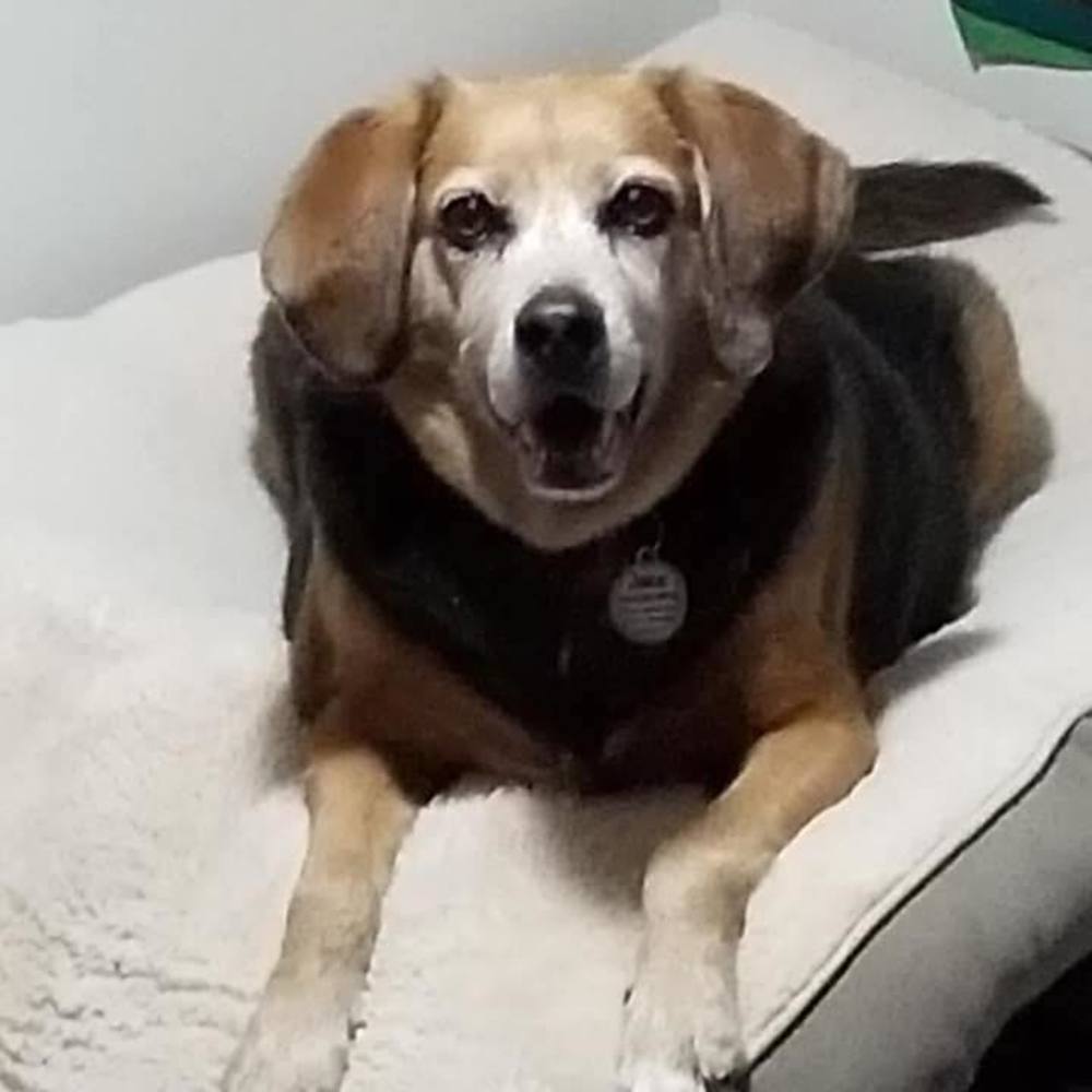 Meet your Posher, Jenelle